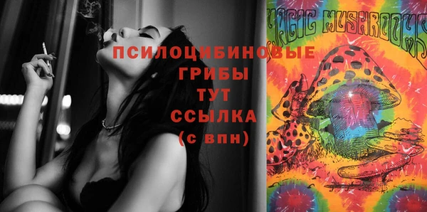 меф Арсеньев