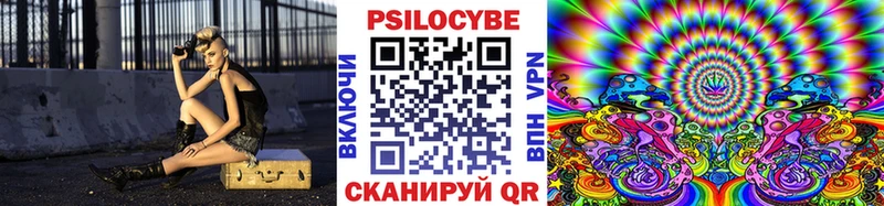 Псилоцибиновые грибы Psilocybine cubensis Волхов